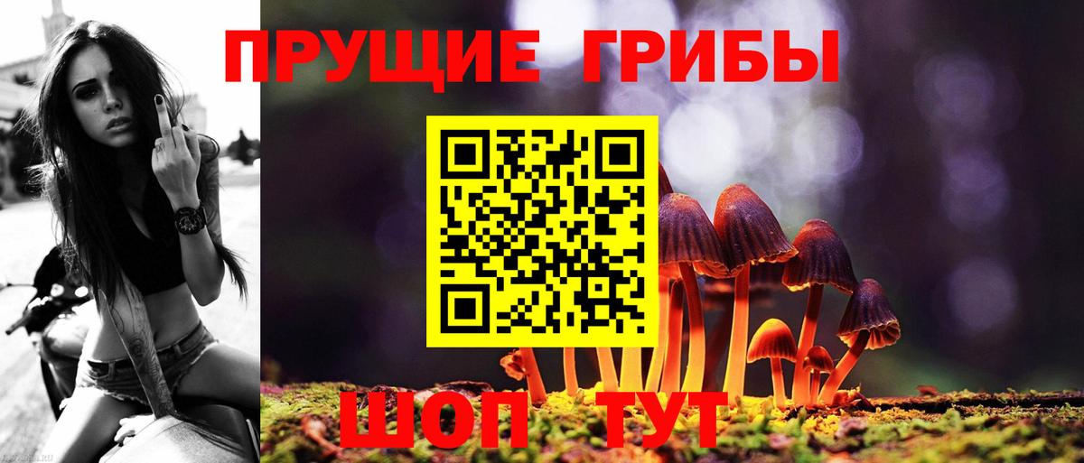 Псилоцибиновые грибы Magic Shrooms  Вход с VPN  Реж 